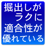 DSシステムとは
