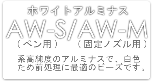 ＤＳシステムとは