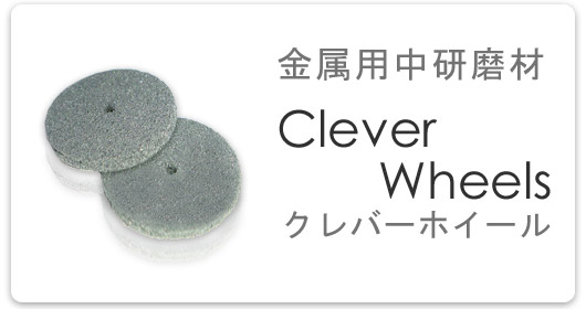 ＤＳシステムとは