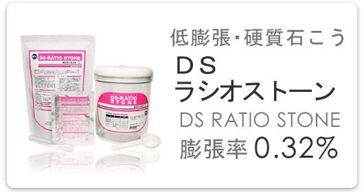 ＤＳシステムとは