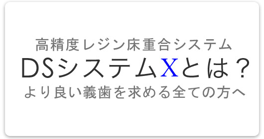 ＤＳシステムとは