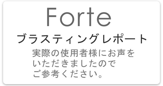 ＤＳシステムとは