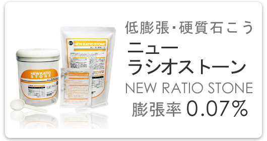 ＤＳシステムとは