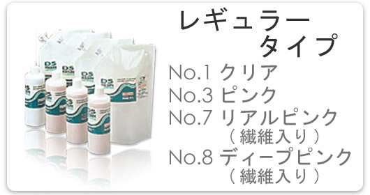 ＤＳシステムとは