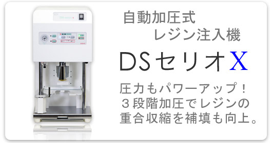 ＤＳシステムとは