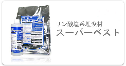 DSシステムとは